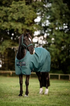 Horseware Amigo Outdoordecke Ripstop 900D, 100 g* Leichte Weidedecken