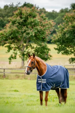 Horseware Amigo Outdoordecke Ripstop 900D, 200 g* Mittelschwere & Schwere Winterdecken