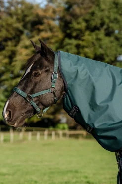 Horseware Amigo Ripstop 900D Plus Outdoordecke für Ponys, 50 g* Ponydecken|Ponydecken