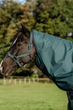 Horseware Amigo Ripstop 900D Plus Weidedecke mit abnehmbarem Halsteil, 100 g* Leichte Weidedecken
