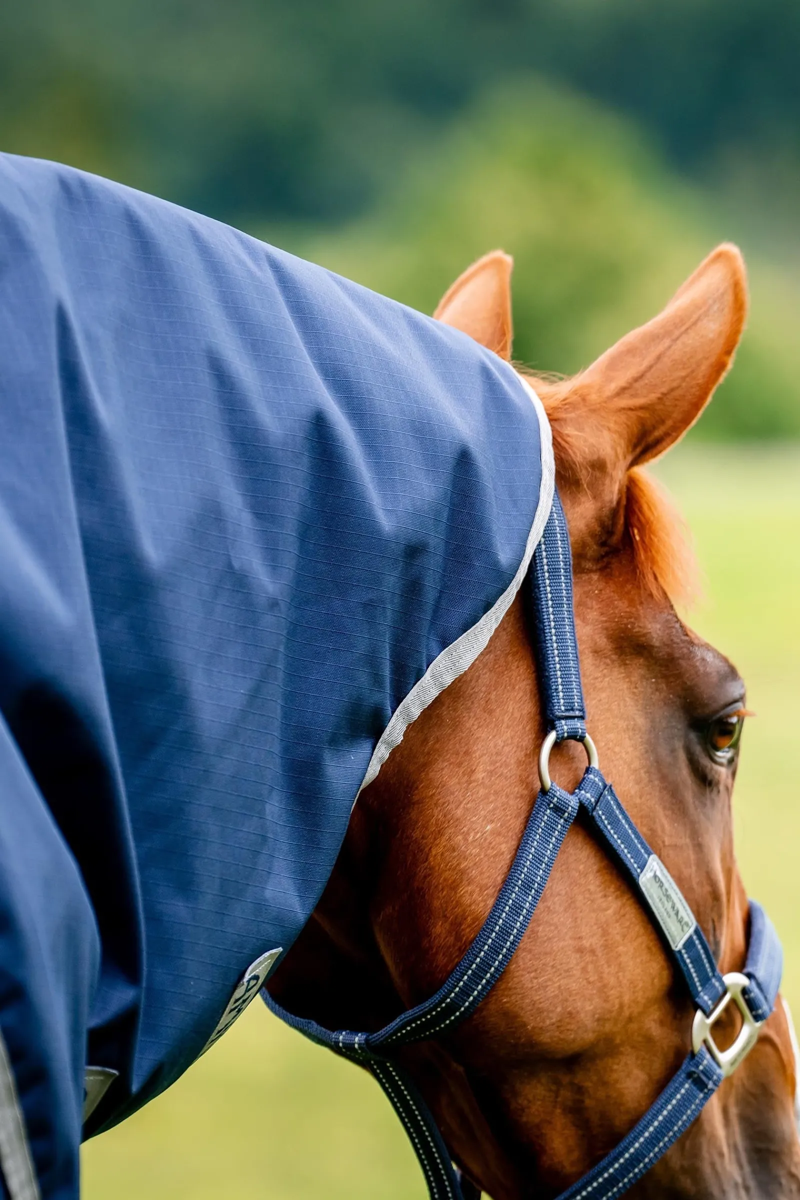 Horseware Amigo Ripstop 900D Plus Weidedecke mit abnehmbarem Halsteil, 100 g* Leichte Weidedecken
