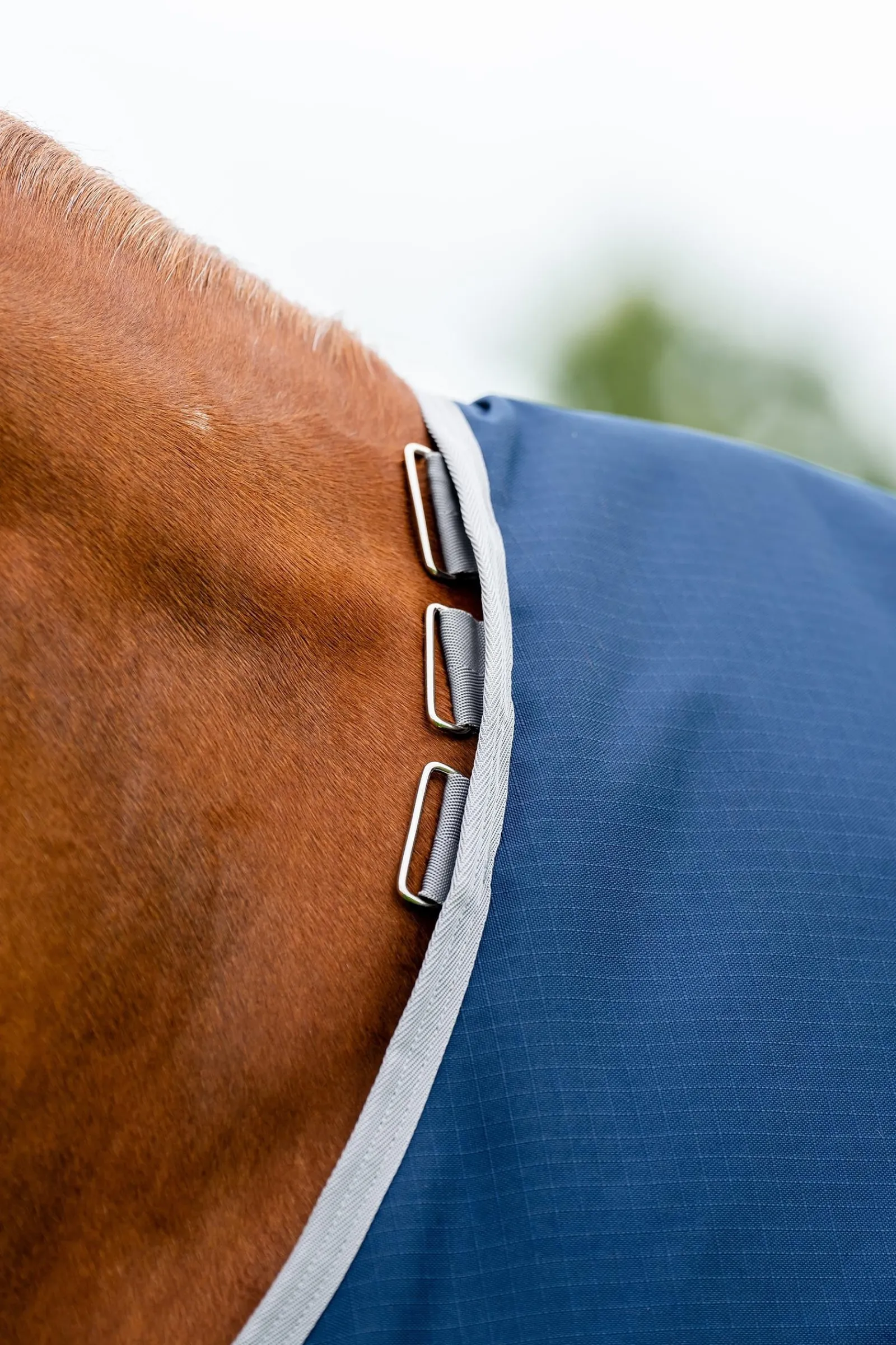 Horseware Amigo Ripstop 900D Plus Weidedecke mit abnehmbarem Halsteil, 100 g* Leichte Weidedecken