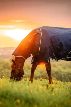 Horseware Amigo Ripstop 900D Plus Weidedecke mit abnehmbarem Halsteil, 0 g* Leichte Weidedecken