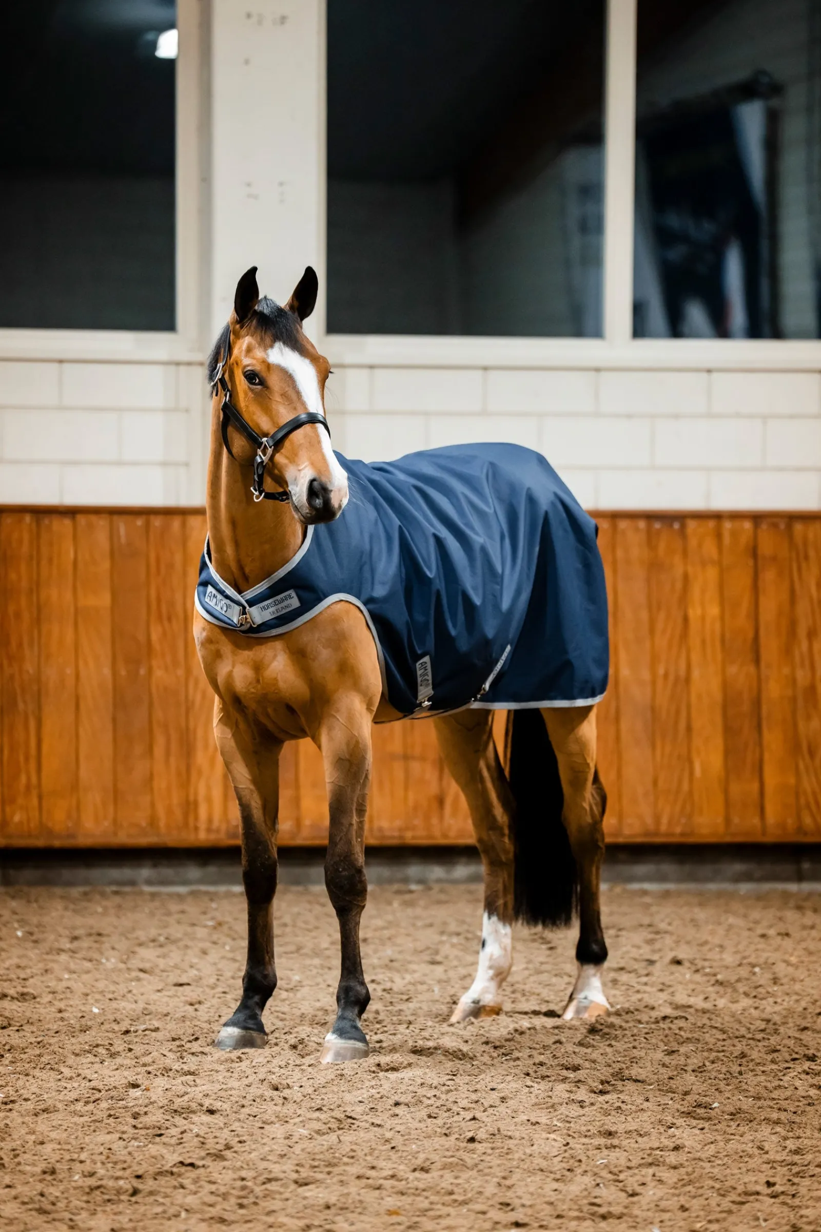 Horseware Amigo Ripstop 900D Walker-Decke, 100 g* Führanlagen-Decken