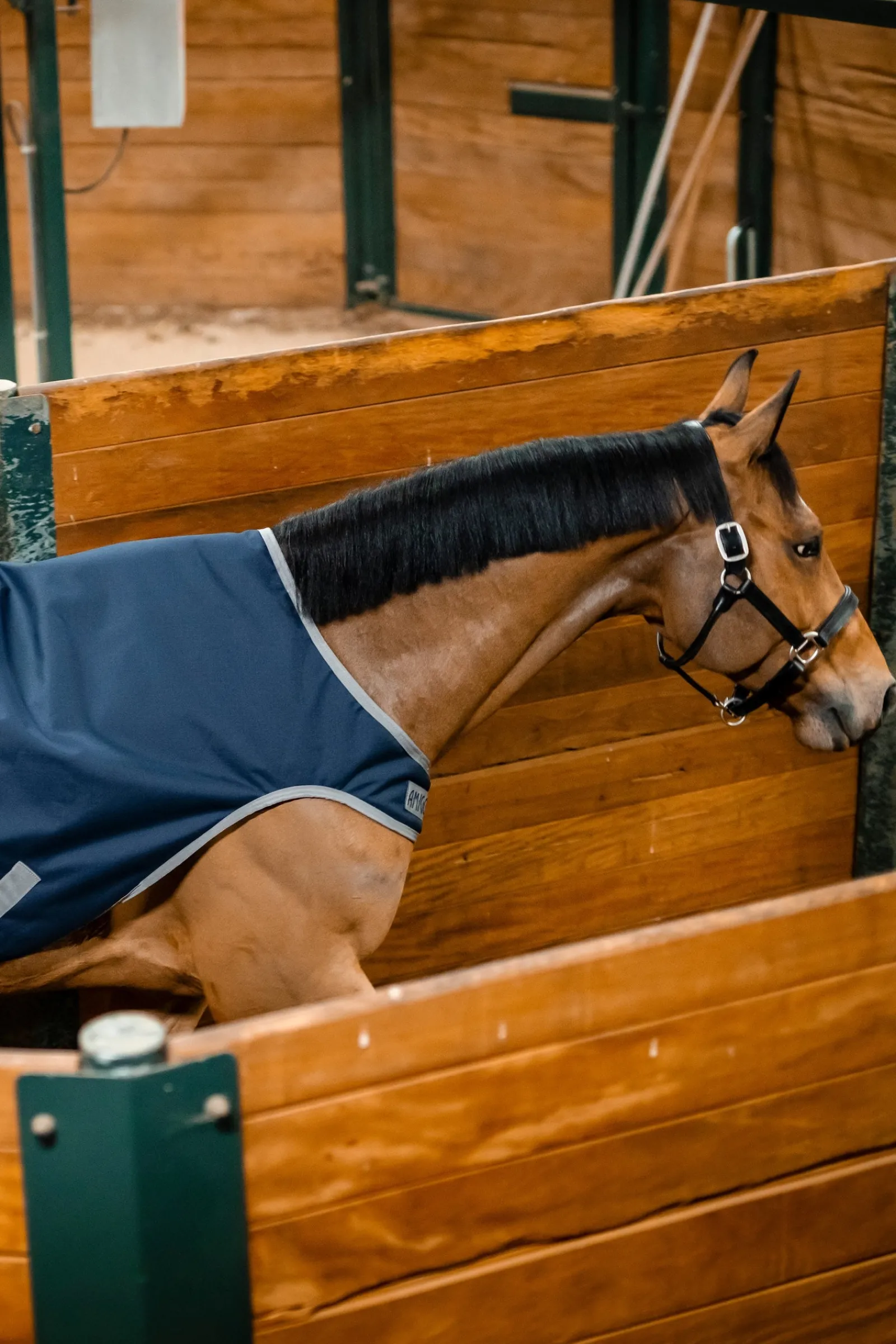Horseware Amigo Ripstop 900D Walker-Decke, 100 g* Führanlagen-Decken