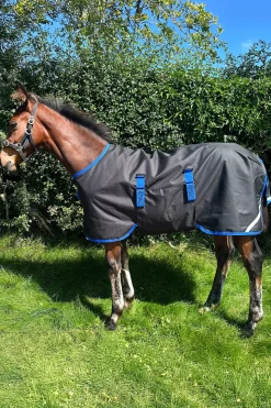 Horseware Amigo Ripstop 900D Weidedecke für Fohlen 200g* Ponydecken|Ponydecken
