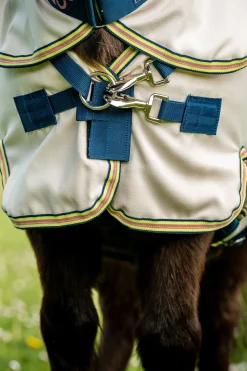 Horseware Amigo Ripstop Hoody Petite, Fliegendecke* Ponydecken|Ponydecken