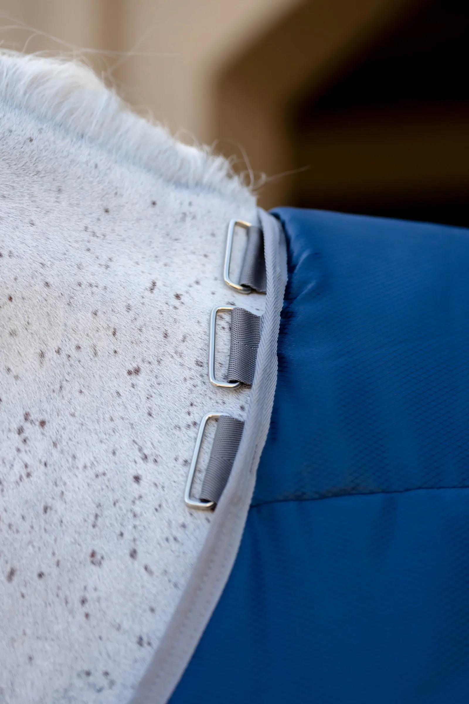 Horseware Amigo Ripstop Insulator Plus Stalldecke, 350 g* Stall- & Unterdecken