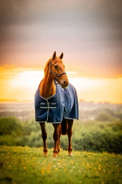 Horseware Amigo Ripstop Weidedecke 900D, 0g* Leichte Weidedecken