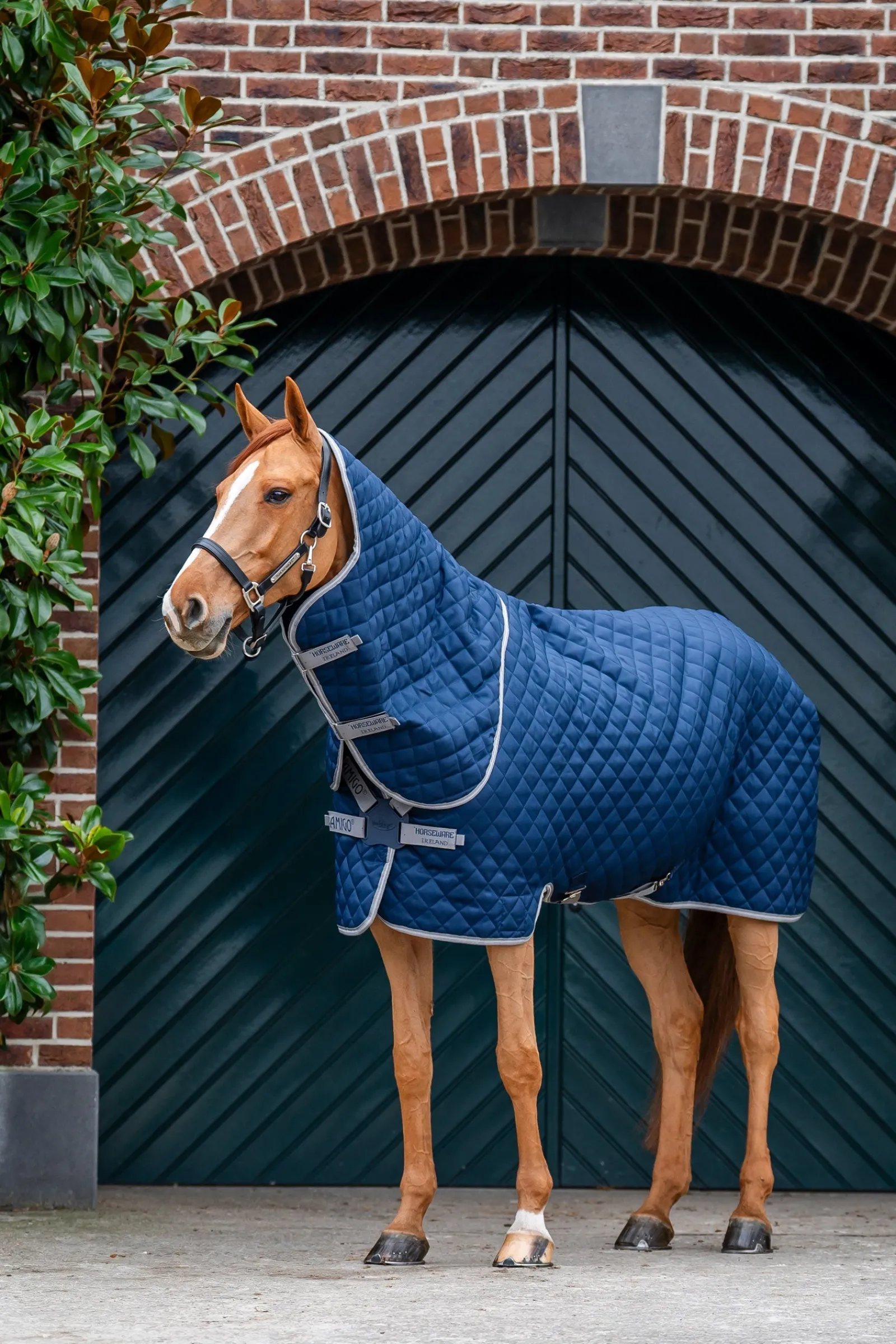 Horseware Amigo Stepp-Stalldecke Plus, 200 g* Stall- & Unterdecken