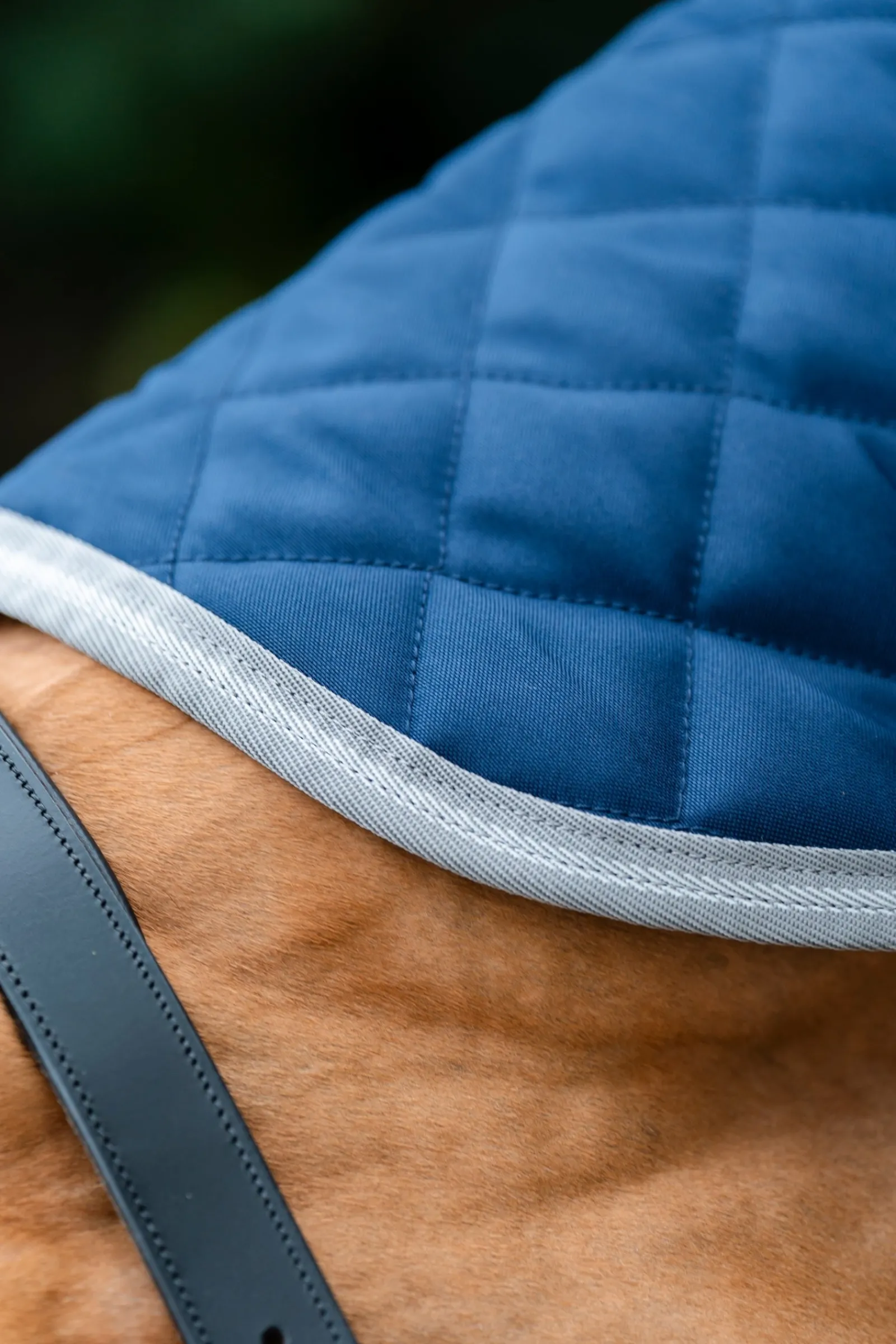 Horseware Amigo Stepp-Stalldecke Plus, 200 g* Stall- & Unterdecken