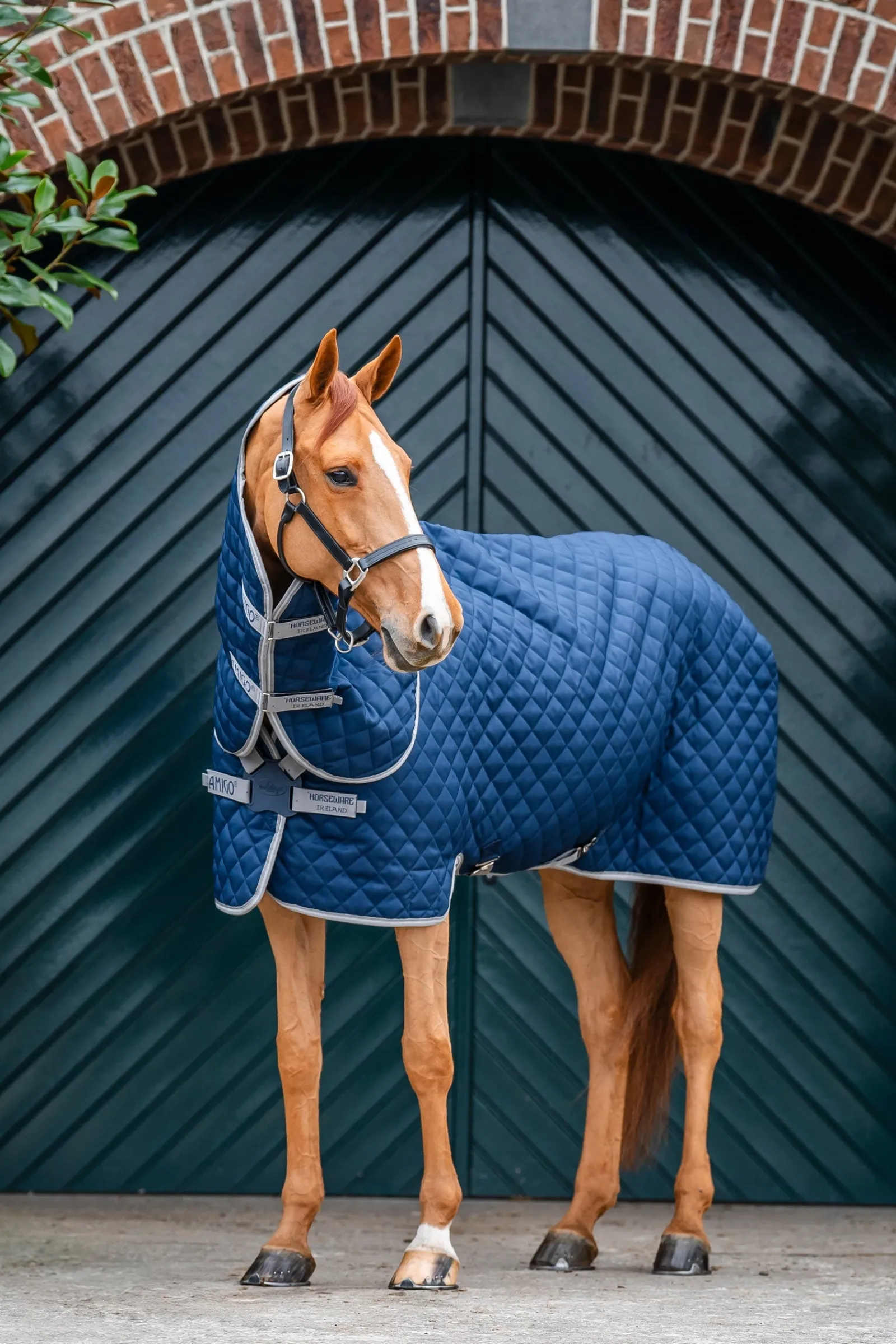 Horseware Amigo Stepp-Stalldecke Plus, 200 g* Stall- & Unterdecken