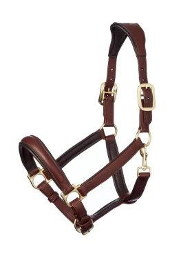 LeMieux Anatomisches Lederhalfter* Lederhalfter