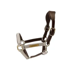 Kentucky Horsewear Anatomisches Nylon Halfter* Halfter