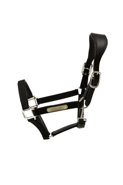 Kentucky Horsewear Anatomisches Nylon Halfter* Halfter