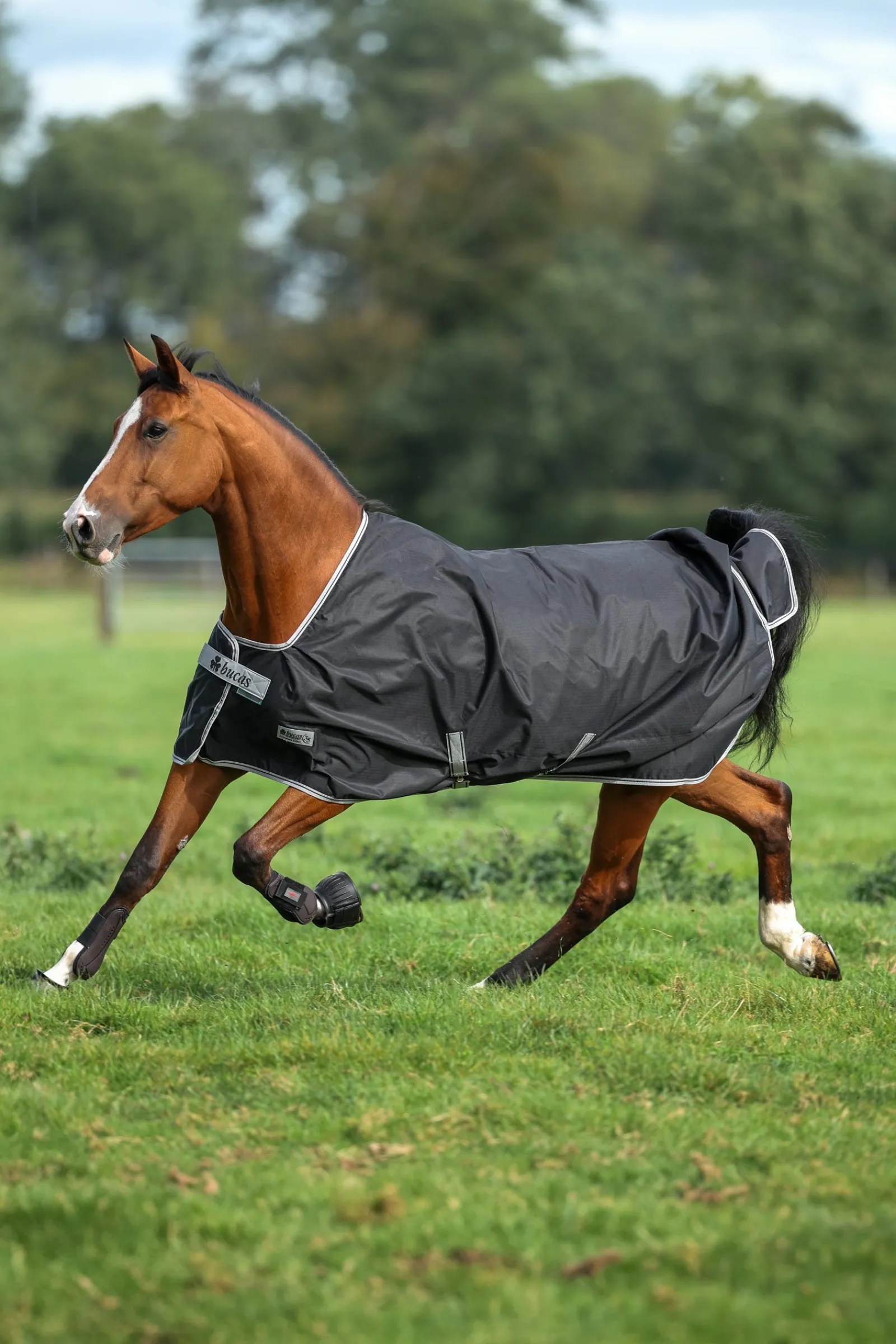 Bucas Anniversary SF leichte Regendecke, 50g* Leichte Weidedecken