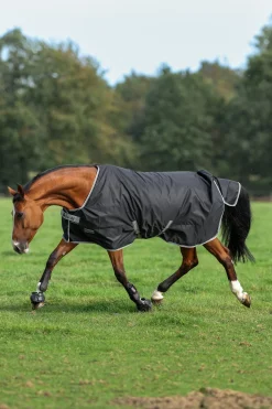 Bucas Anniversary SF leichte Regendecke, 50g* Leichte Weidedecken