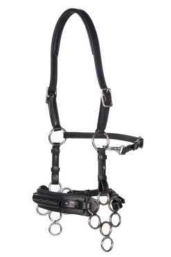 F.R.A. Freedom Riding Articles Aram Hackamore (System 2) Leather, Jaw Straps, w/ Scissors* Trensen & Nasenriemen