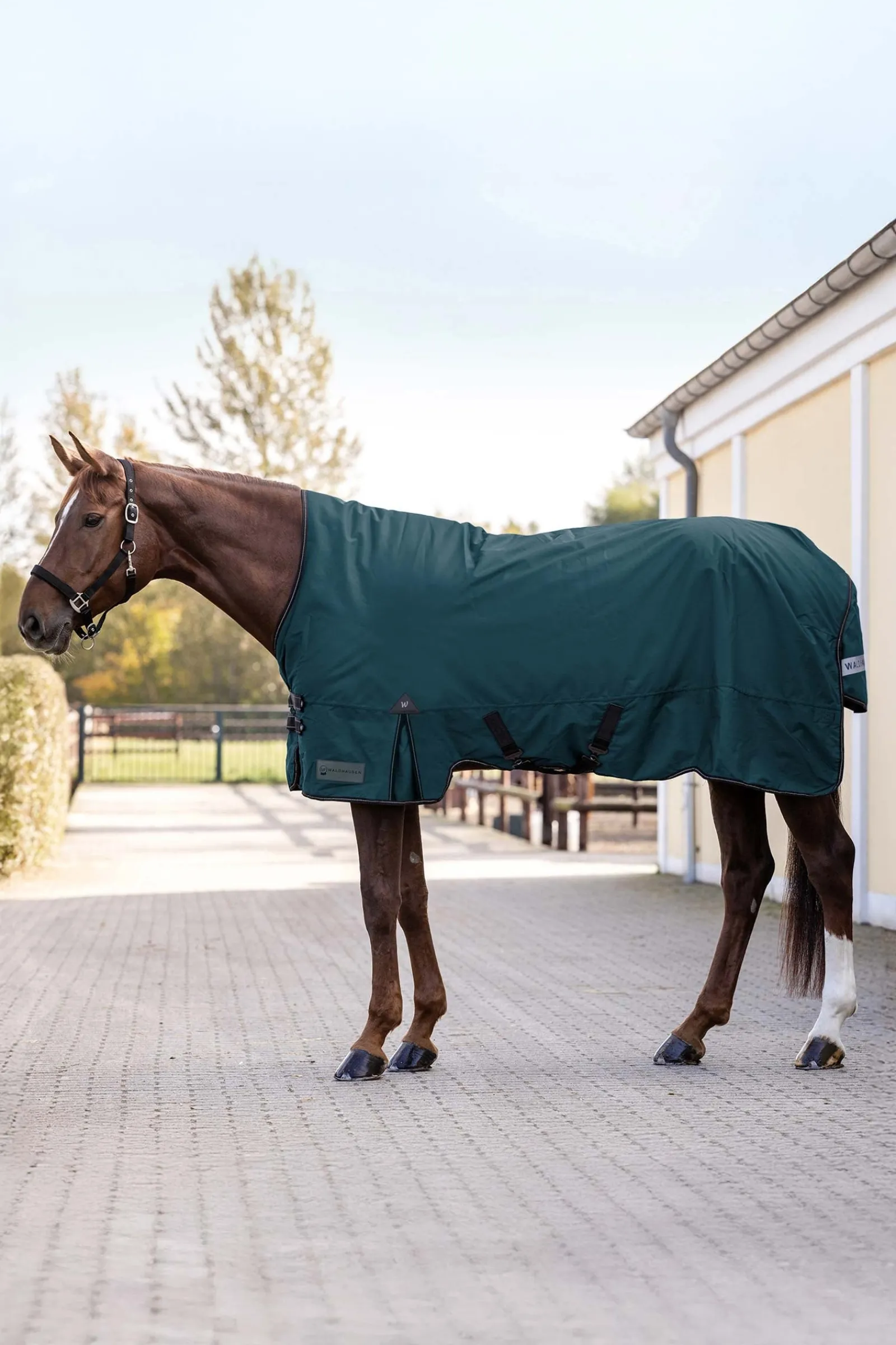 Waldhausen Arctic Outdoor Rug With High Neck, 100 g* Leichte Weidedecken