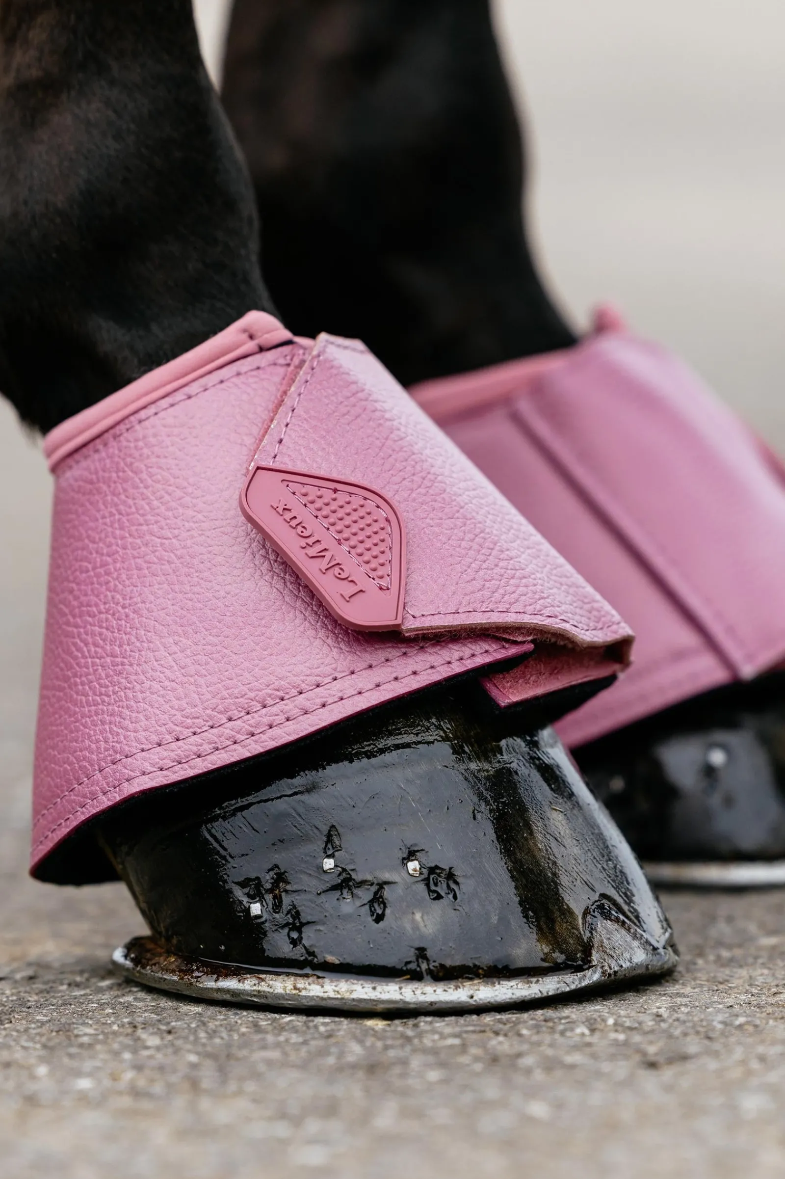 LeMieux Arika Hufglocken* Over Reach Boots