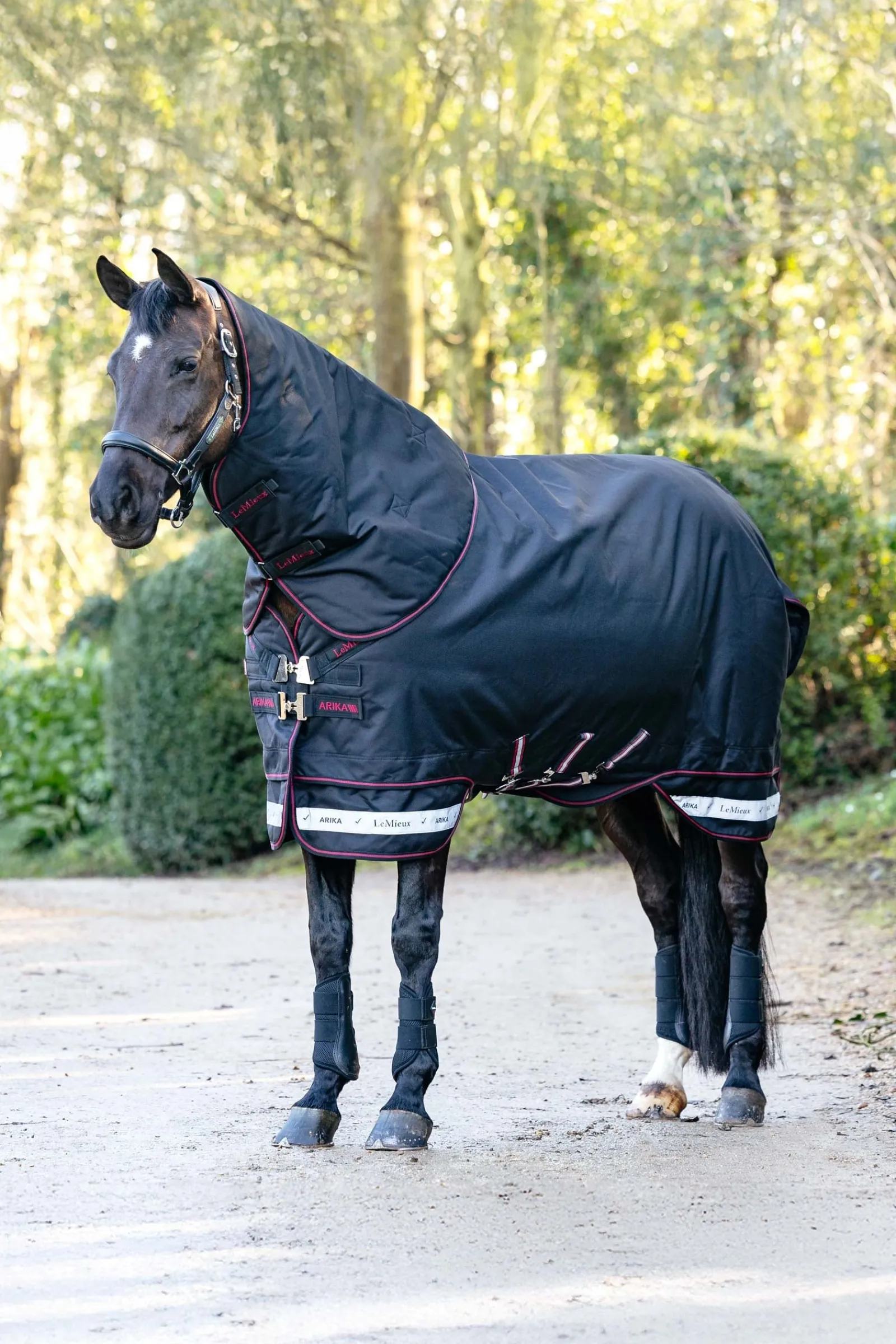 LeMieux Arika Storm-Tek Weidedecke mit abnehmbarem Halsstück, 200 g* Mittelschwere & Schwere Winterdecken