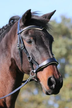 F.R.A. Freedom Riding Articles Aruba gebisslose Trense mit Zügeln (System 3)* Trensen & Nasenriemen