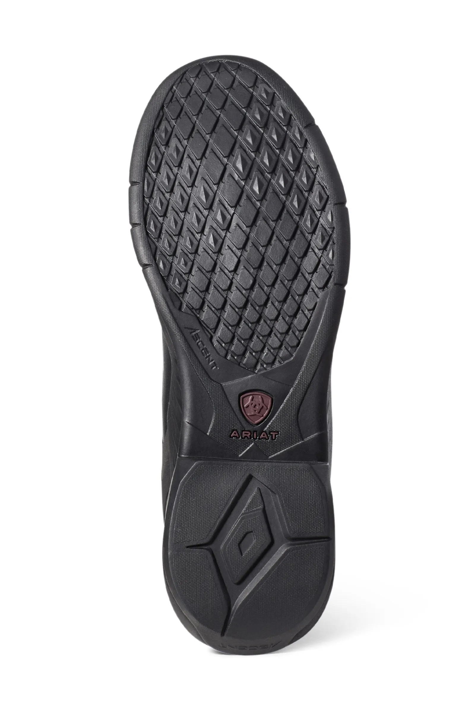 Ariat Ascent Tall Damen Reitstiefel* Reitstiefel