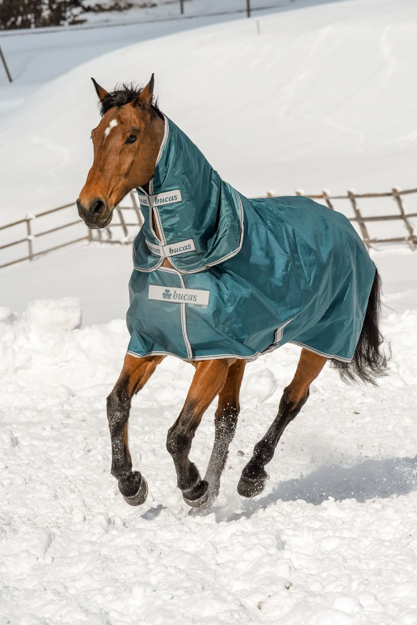 Bucas Atlantic Weidedecke, 200g* Mittelschwere & Schwere Winterdecken