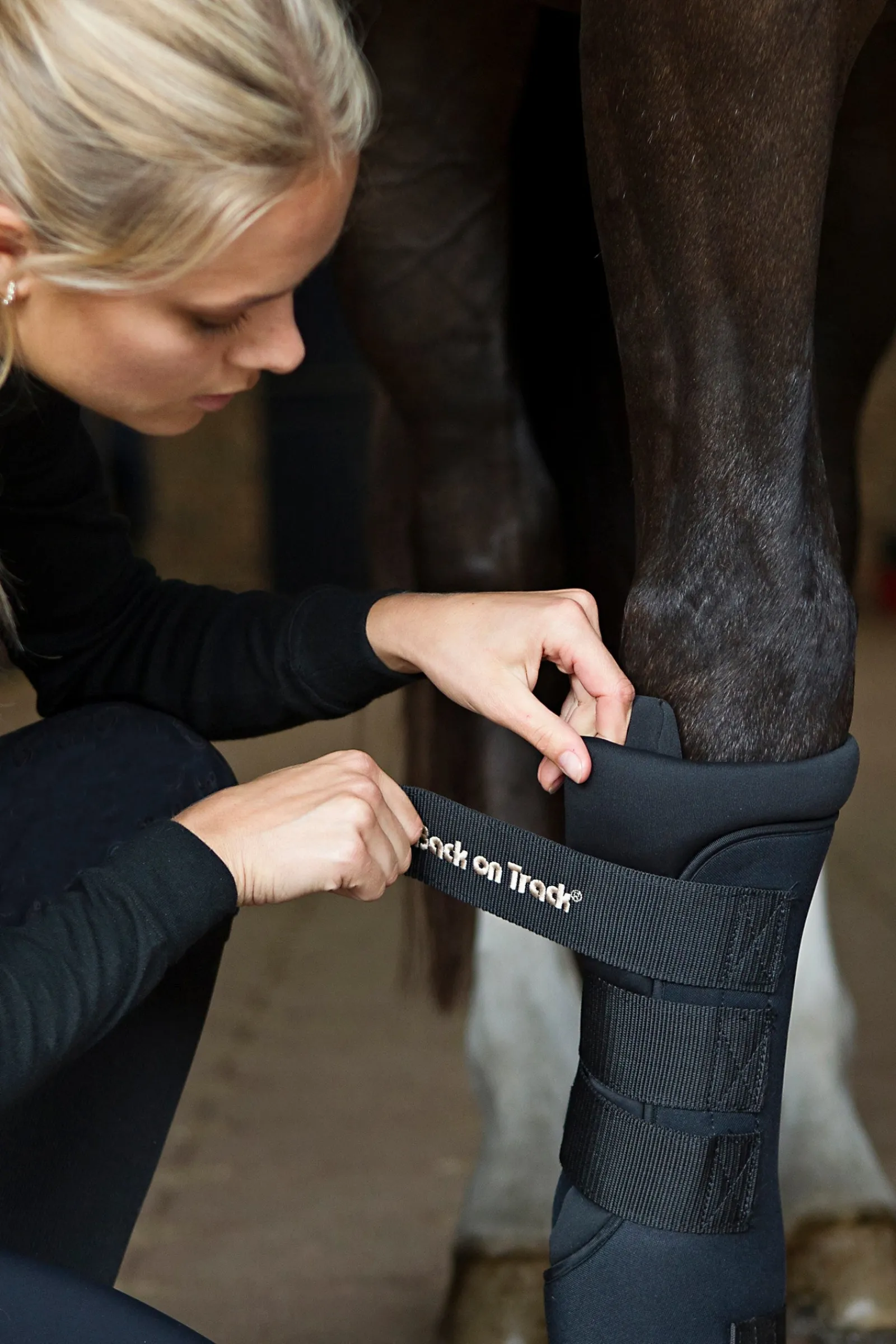 horze Back On Track Quick Royal Stallgamaschen* Stall- & Transportgamaschen
