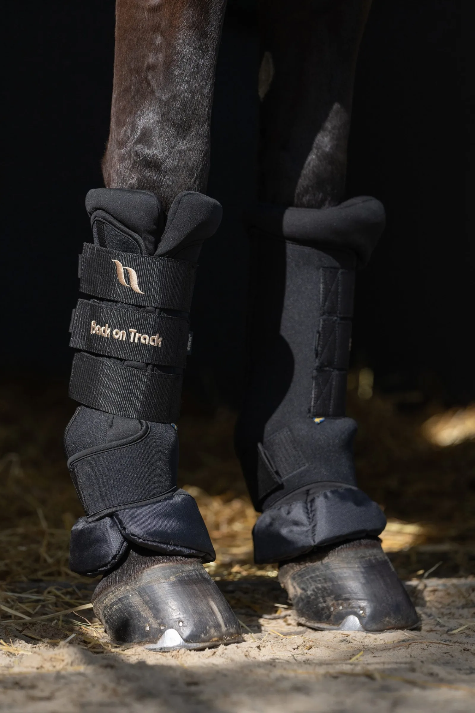 horze Back On Track Quick Royal Stallgamaschen* Stall- & Transportgamaschen