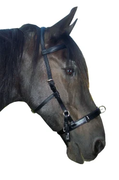 F.R.A. Freedom Riding Articles Baro Kappzaum, Leder* Longier- Und Trainingsausrüstung