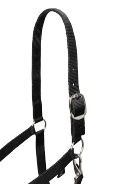 Horze Basic Halfter & Führstrick mit Panikhaken* Halfter