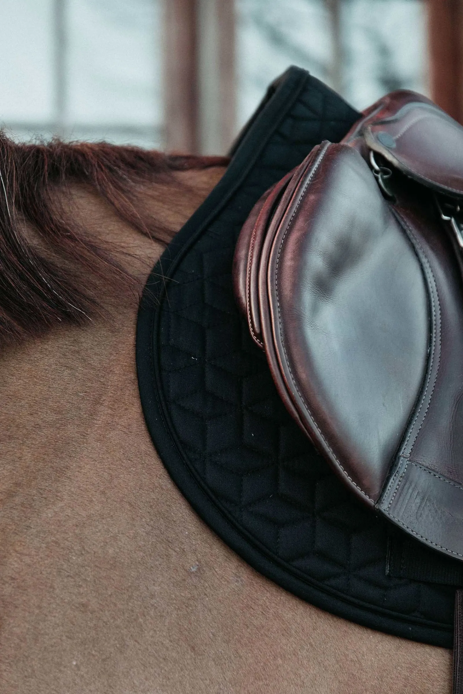 Kentucky Horsewear Basic Springschabracke* Spring- & Vielseitigkeitsschabracken