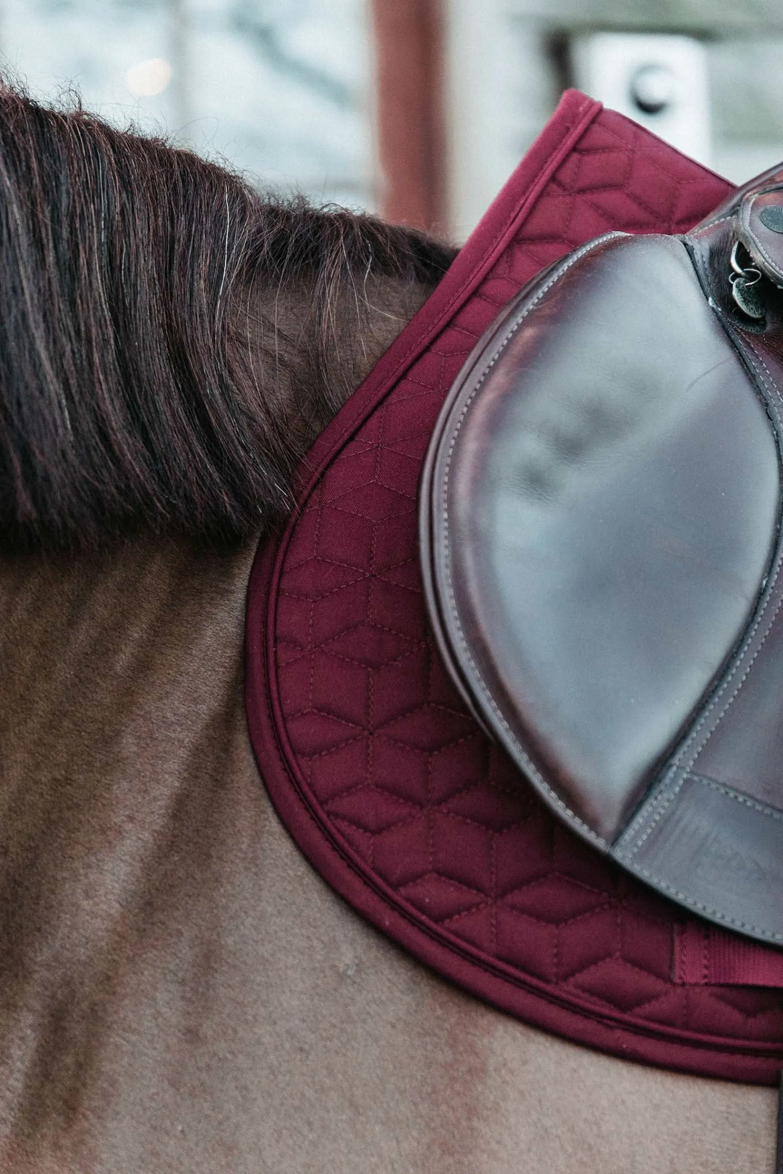 Kentucky Horsewear Basic Springschabracke* Spring- & Vielseitigkeitsschabracken