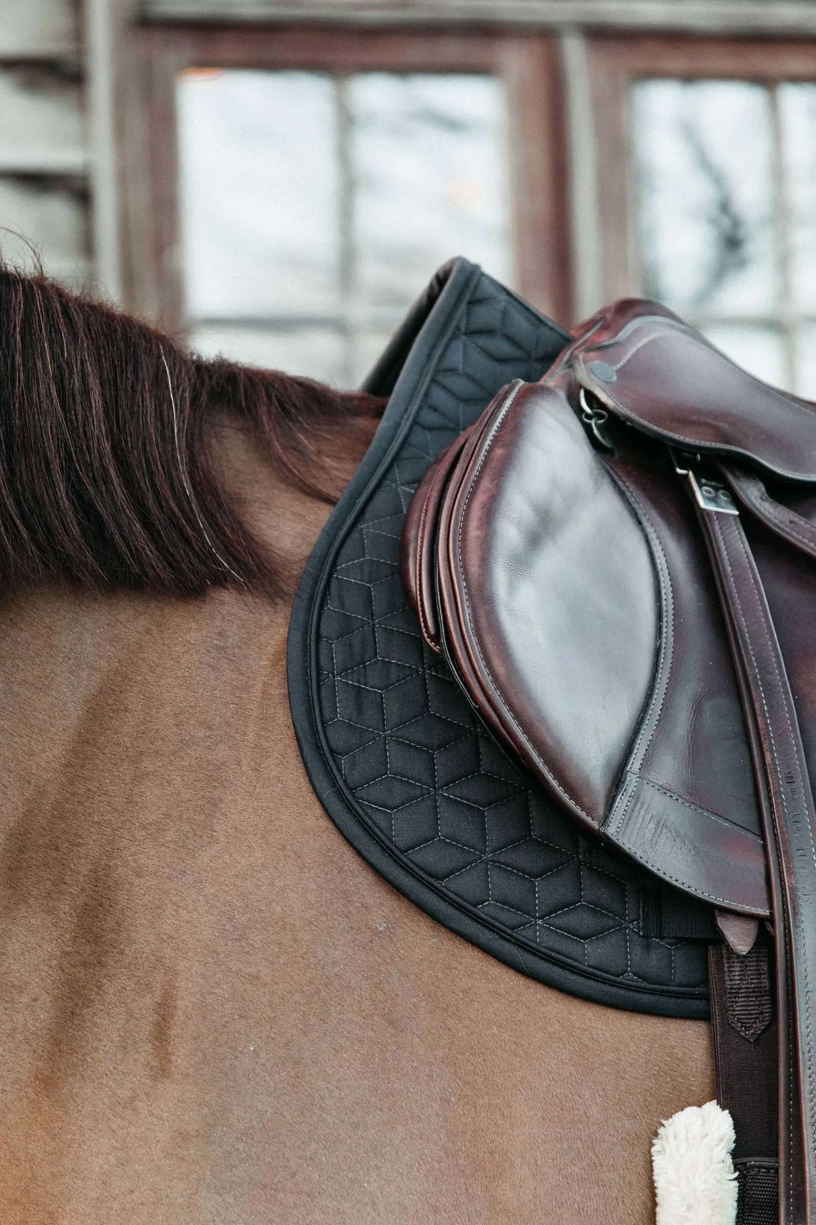 Kentucky Horsewear Basic Springschabracke* Spring- & Vielseitigkeitsschabracken