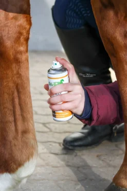 Stiefel Blau-Spray* Stallapotheke|Sonstige Therapie- & Massageartikel