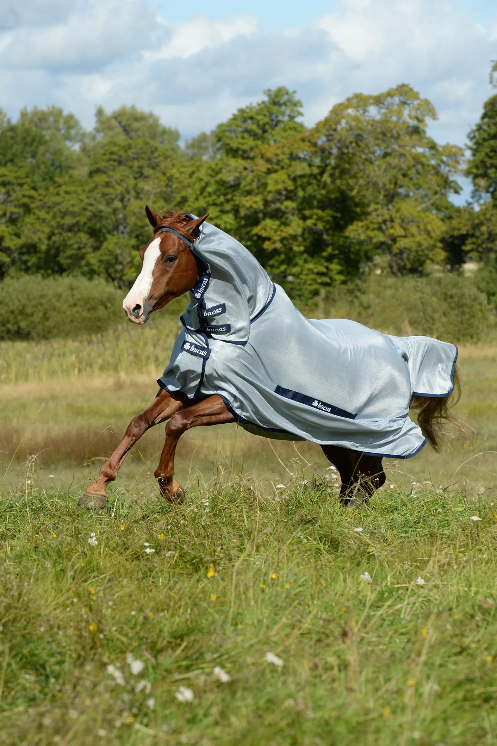 Bucas Buzz-Off Full Neck Fliegendecke Pony mit festem Halsteil* Ponydecken|Ponydecken