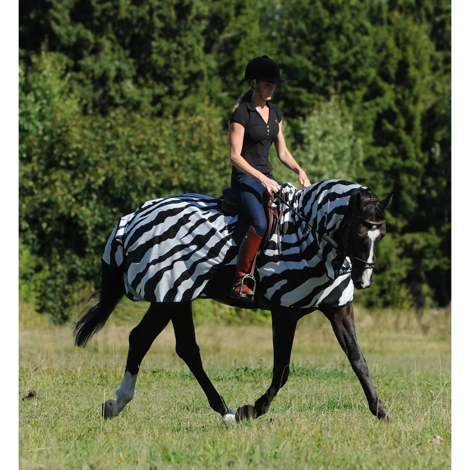 Bucas Buzz-Off Zebra Fliegenausreitdecke* Fliegendecken