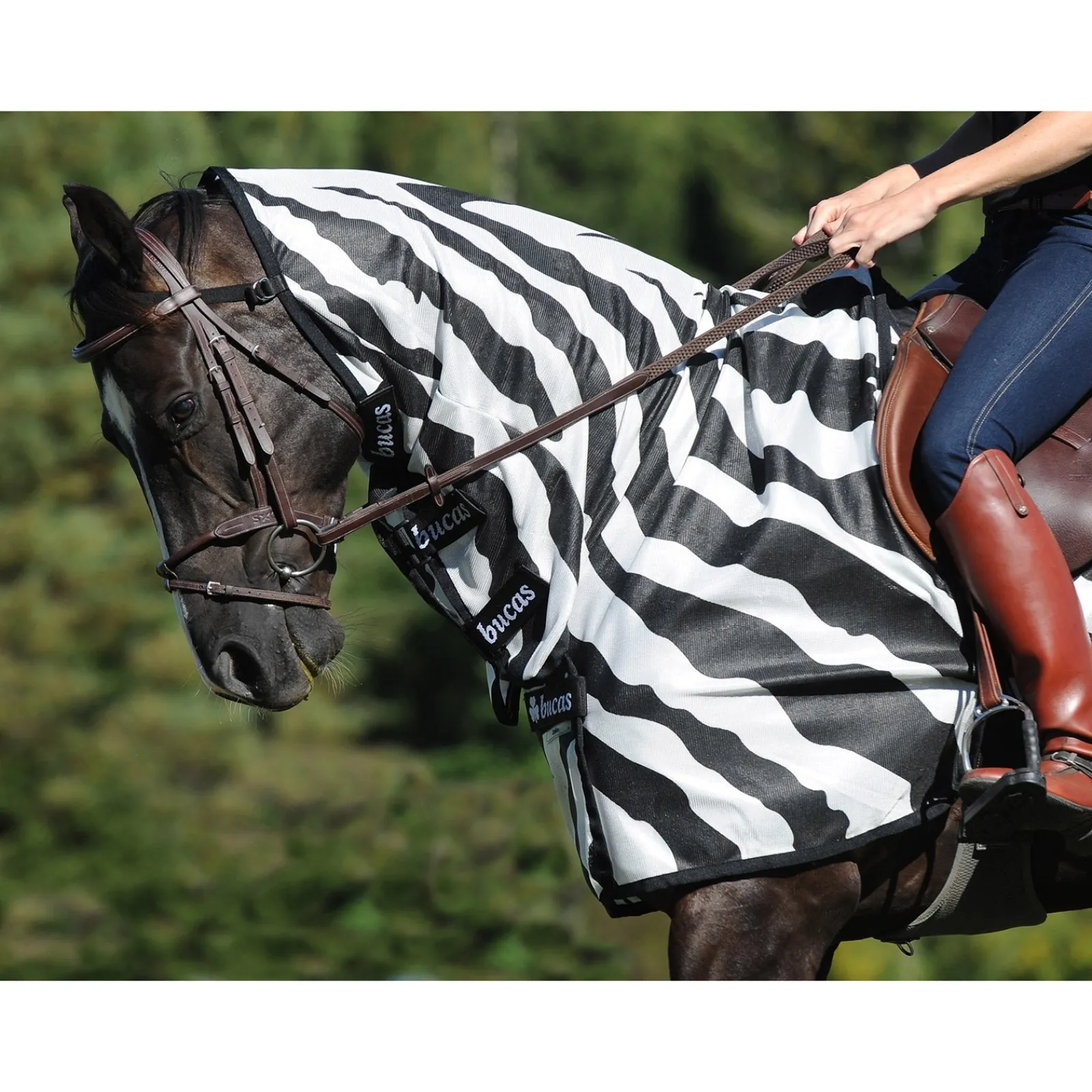 Bucas Buzz-Off Zebra Fliegenausreitdecke* Fliegendecken