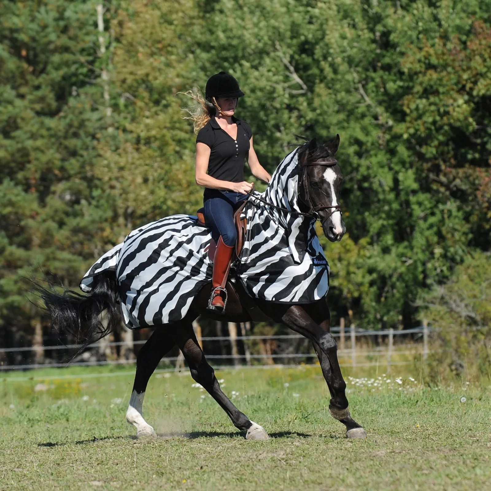 Bucas Buzz-Off Zebra Fliegenausreitdecke* Fliegendecken
