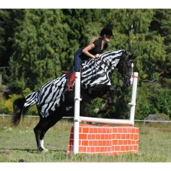 Bucas Buzz-Off Zebra Fliegenausreitdecke* Fliegendecken