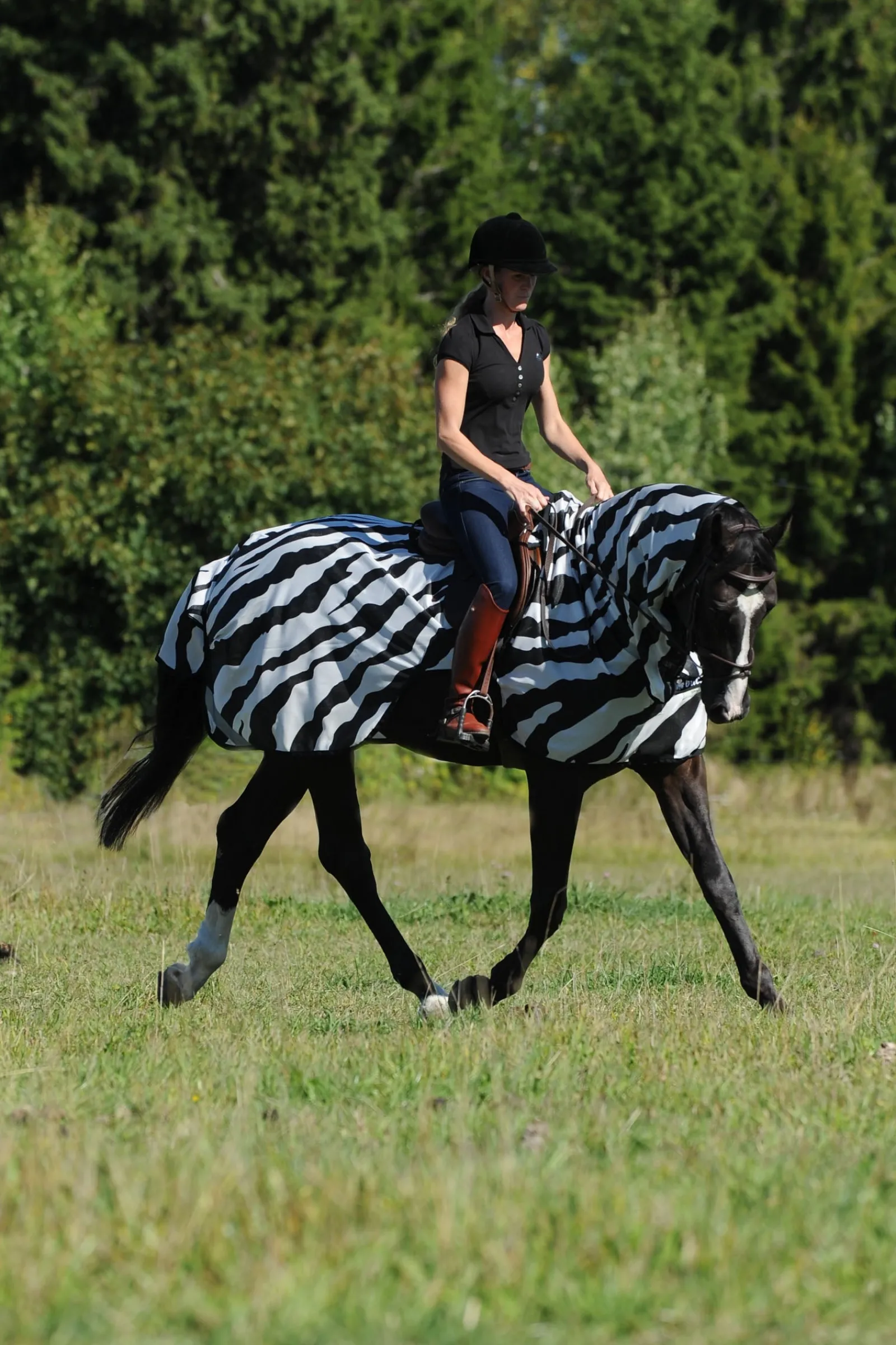 Bucas Buzz-Off Zebra Fliegenausreitdecke* Fliegendecken