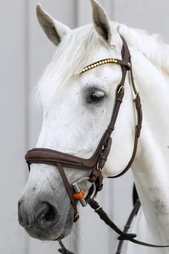 Kavalkade Caliano Englische Trense* Trensen & Nasenriemen