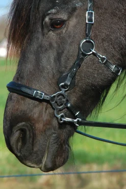F.R.A. Freedom Riding Articles Calli Hackamore Zaum mit Zügeln (System 2)* Trensen & Nasenriemen