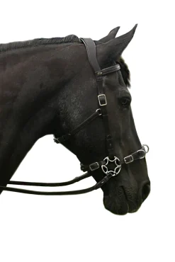 F.R.A. Freedom Riding Articles Caval Compl. Cavemore Trense (Syst.2) w/ Scissors & Reins* Trensen & Nasenriemen