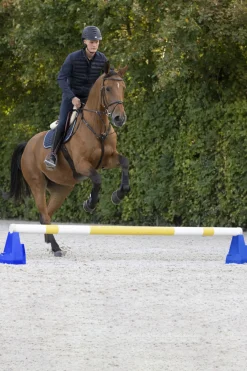Waldhausen Cavaletti Block* Stallzubehör|Aufbewahrung