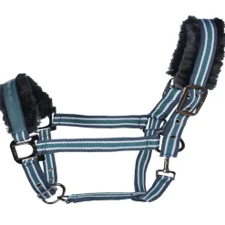 Cavallo CAVALHELIA Halfter* Halfter