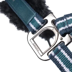 Cavallo CAVALHELIA Halfter* Halfter