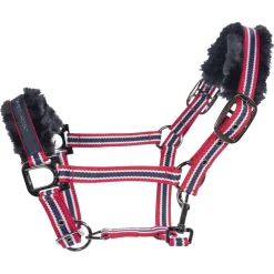 Cavallo CAVALHELIA Halfter* Halfter
