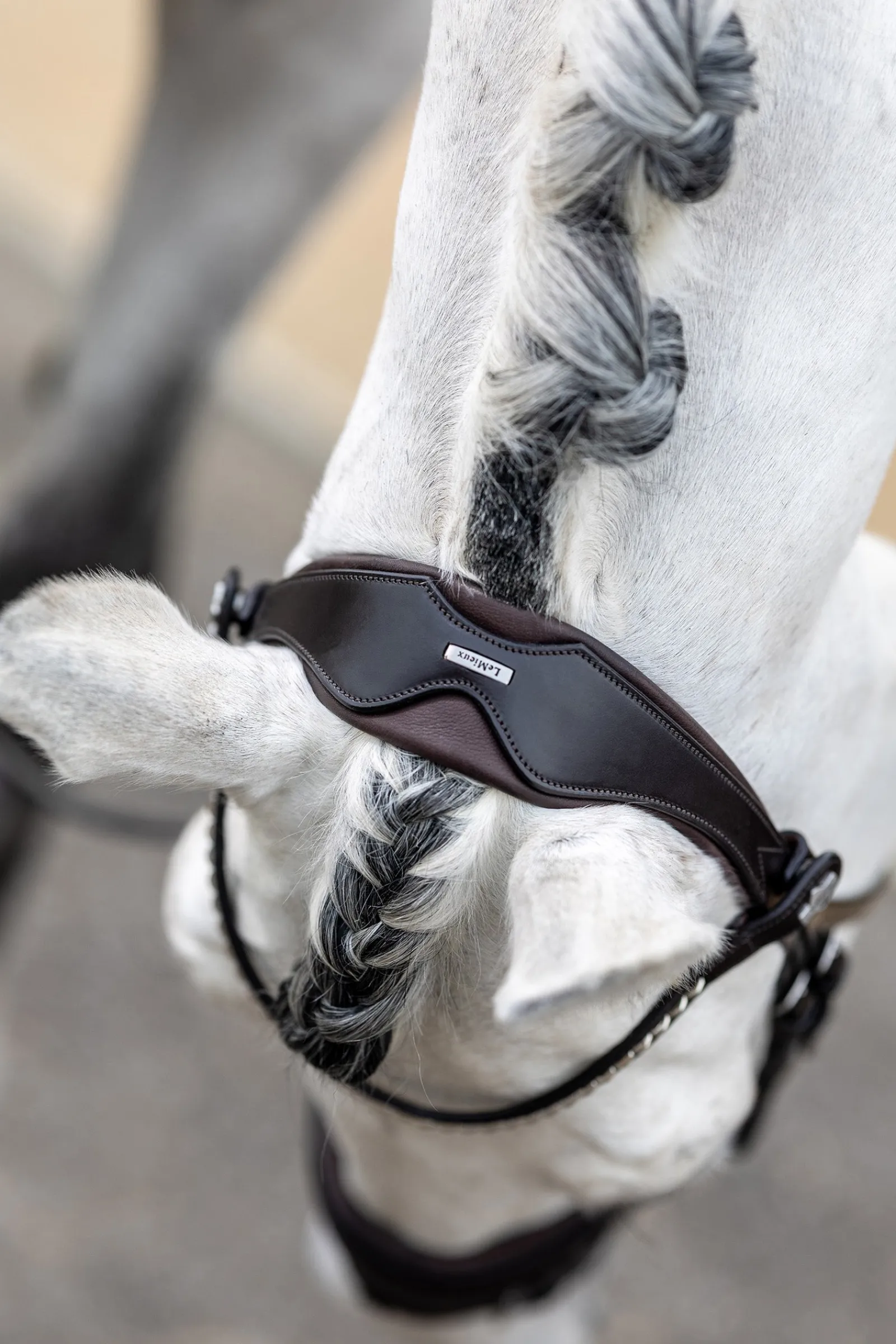 LeMieux Classic Dressurtrense* Trensen & Nasenriemen